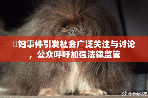婬妇事件引发社会广泛关注与讨论，公众呼吁加强法律监管