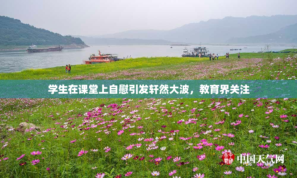 学生在课堂上自慰引发轩然大波，教育界关注