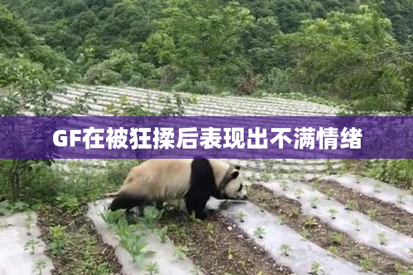 GF在被狂揉后表现出不满情绪