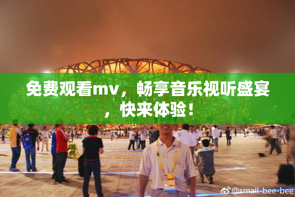 免费观看mv，畅享音乐视听盛宴，快来体验！