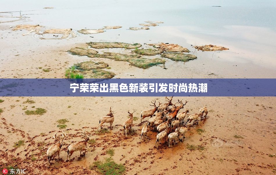 宁荣荣出黑色新装引发时尚热潮