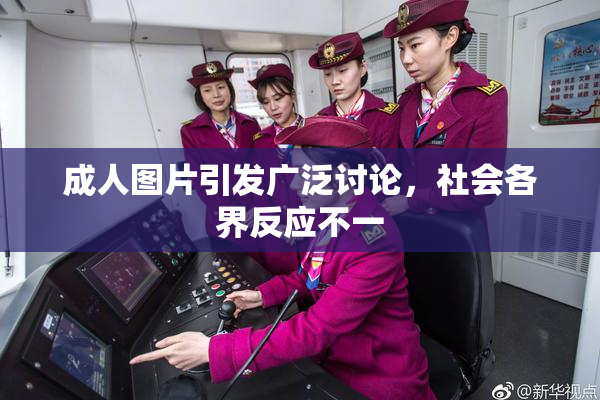 成人图片引发广泛讨论，社会各界反应不一