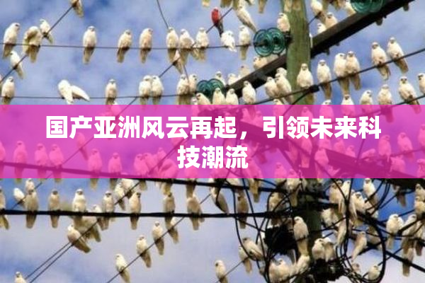 国产亚洲风云再起，引领未来科技潮流