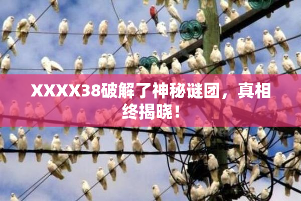 XXXX38破解了神秘谜团，真相终揭晓！