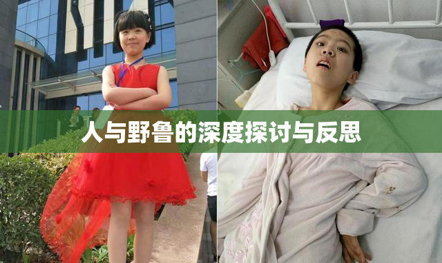 人与野鲁的深度探讨与反思