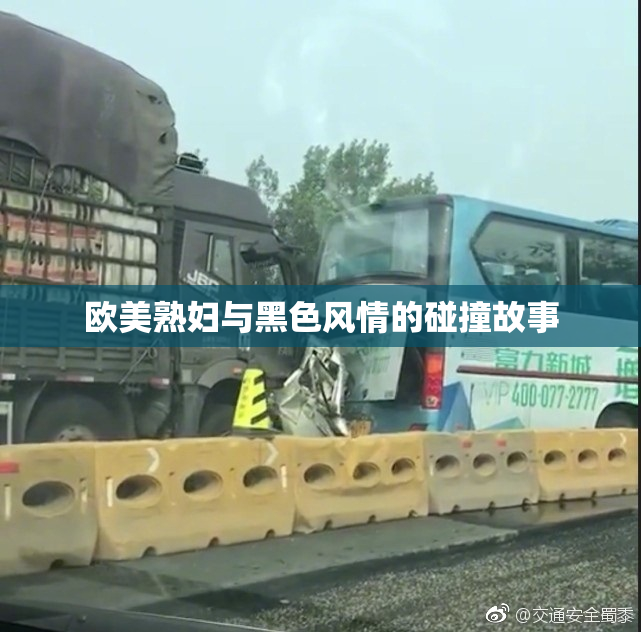 欧美熟妇与黑色风情的碰撞故事
