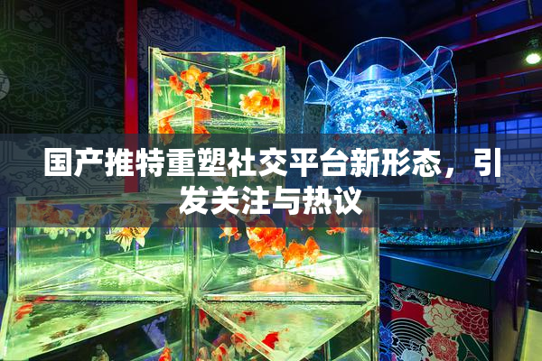 国产推特重塑社交平台新形态，引发关注与热议