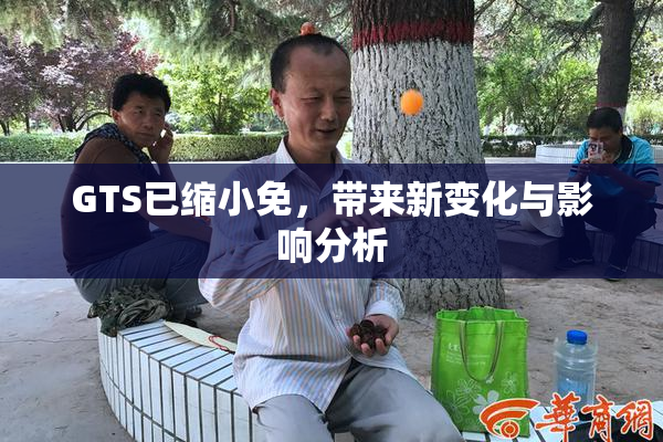 GTS已缩小免，带来新变化与影响分析