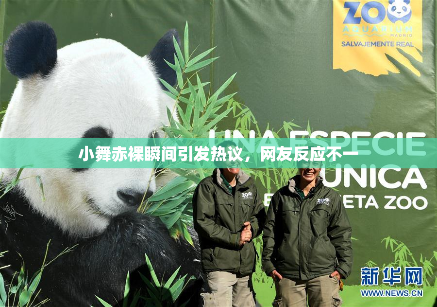小舞赤裸瞬间引发热议，网友反应不一