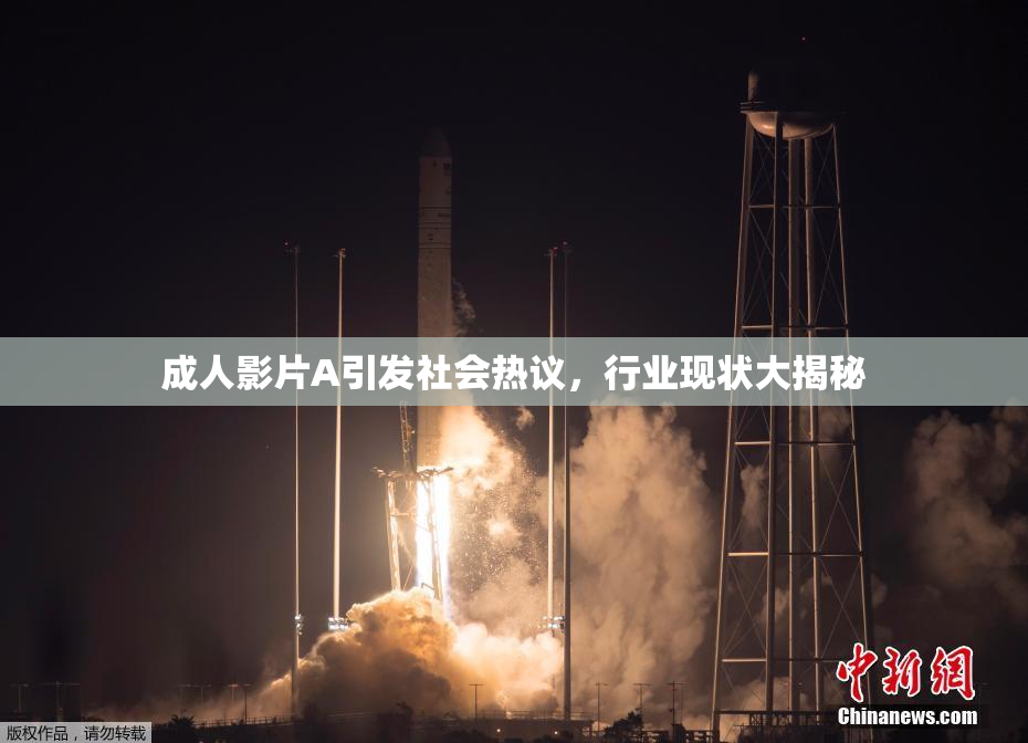 成人影片A引发社会热议，行业现状大揭秘