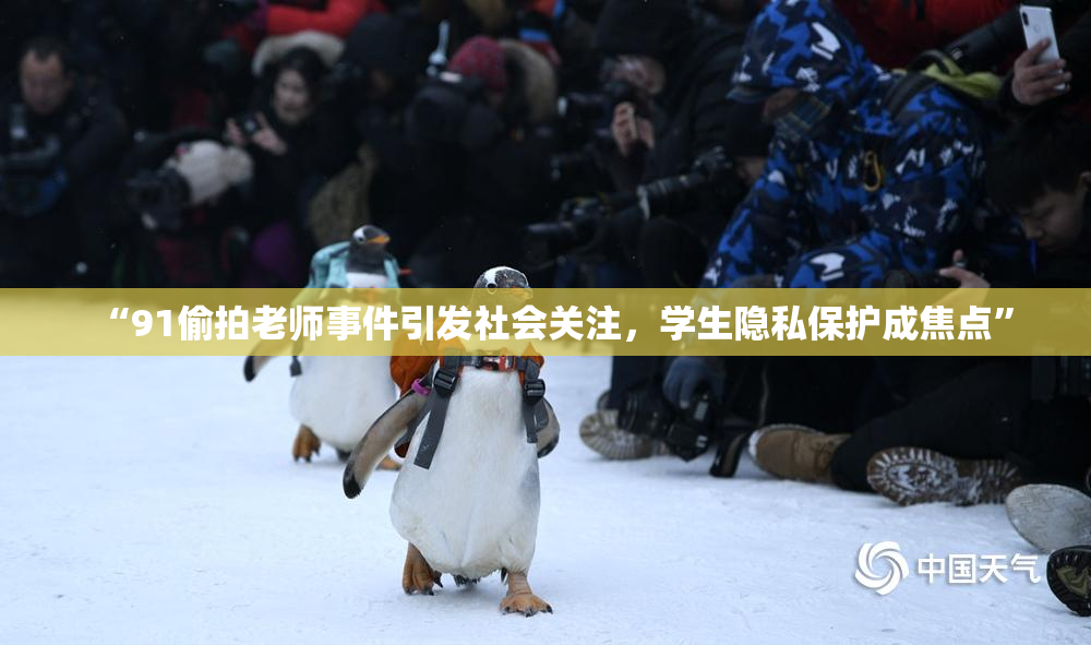 “91偷拍老师事件引发社会关注，学生隐私保护成焦点”