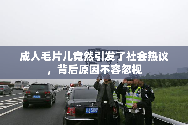 成人毛片儿竟然引发了社会热议，背后原因不容忽视
