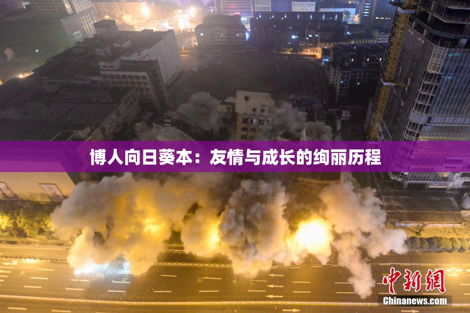 博人向日葵本：友情与成长的绚丽历程