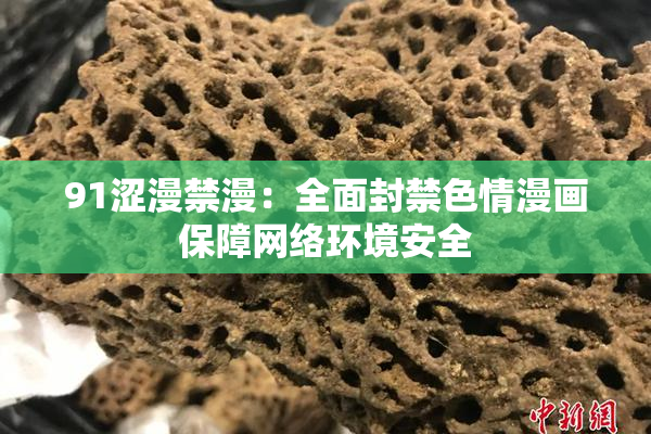 91涩漫禁漫：全面封禁色情漫画保障网络环境安全