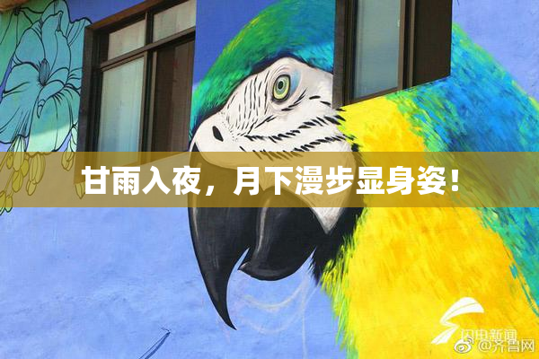 甘雨入夜，月下漫步显身姿！