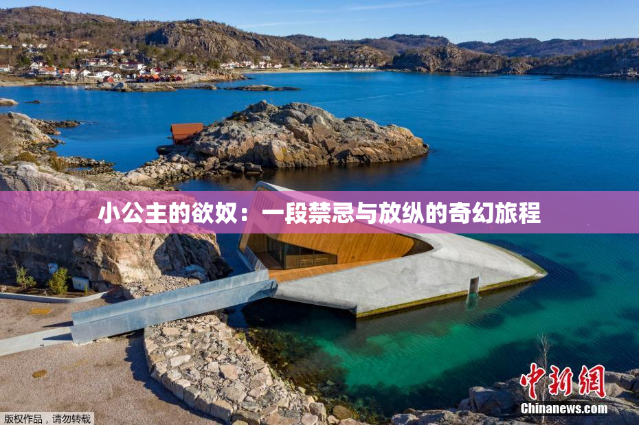 小公主的欲奴：一段禁忌与放纵的奇幻旅程