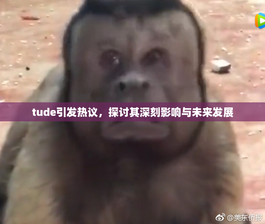 tude引发热议，探讨其深刻影响与未来发展