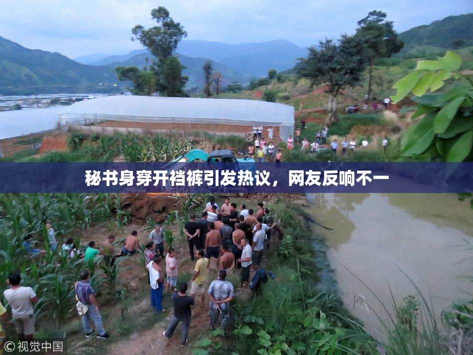 秘书身穿开裆裤引发热议，网友反响不一