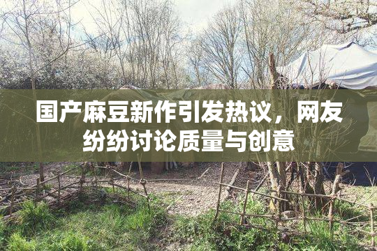 国产麻豆新作引发热议，网友纷纷讨论质量与创意