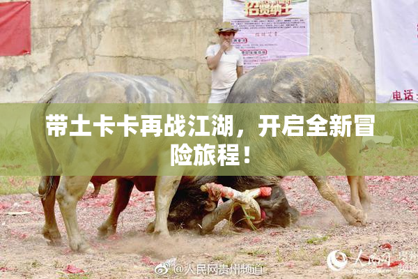 带土卡卡再战江湖，开启全新冒险旅程！