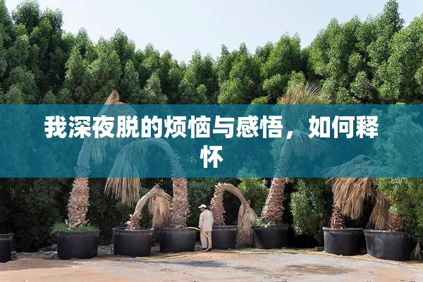 我深夜脱的烦恼与感悟，如何释怀