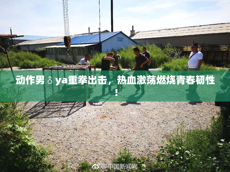 动作男♂ya重拳出击，热血激荡燃烧青春韧性！