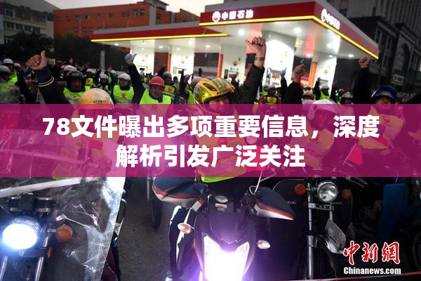 78文件曝出多项重要信息，深度解析引发广泛关注