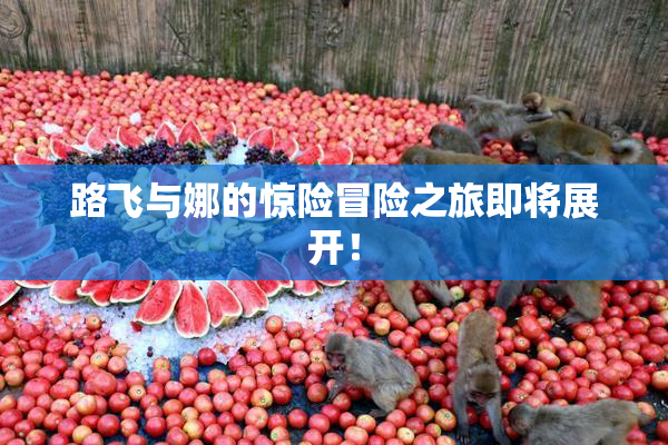 路飞与娜的惊险冒险之旅即将展开！
