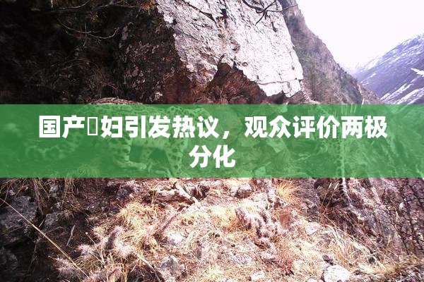 国产婬妇引发热议，观众评价两极分化