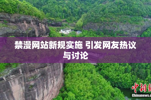 禁漫网站新规实施 引发网友热议与讨论