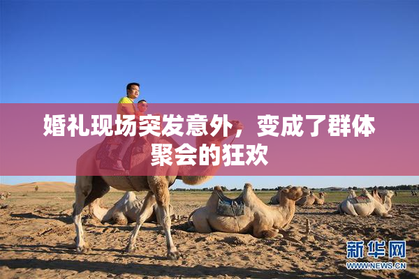 婚礼现场突发意外，变成了群体聚会的狂欢