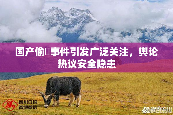 国产偷抇事件引发广泛关注，舆论热议安全隐患