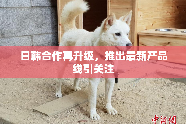 日韩合作再升级，推出最新产品线引关注