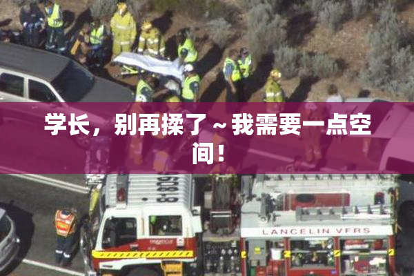 学长，别再揉了～我需要一点空间！