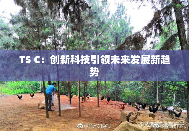 TS C：创新科技引领未来发展新趋势