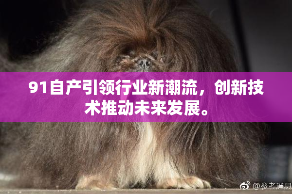 91自产引领行业新潮流，创新技术推动未来发展。