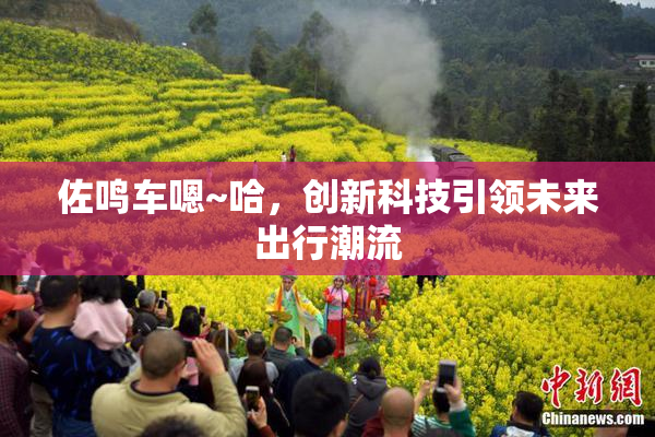 佐鸣车嗯~哈，创新科技引领未来出行潮流
