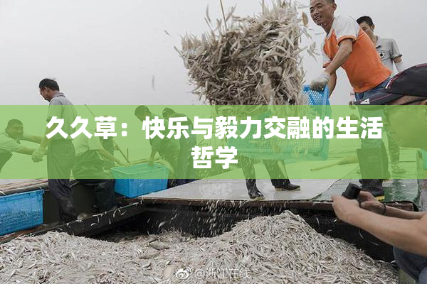 久久草：快乐与毅力交融的生活哲学