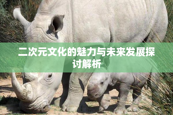 二次元文化的魅力与未来发展探讨解析