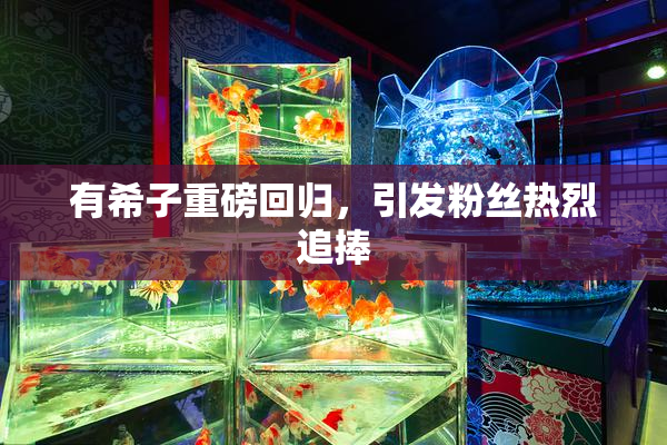 有希子重磅回归，引发粉丝热烈追捧
