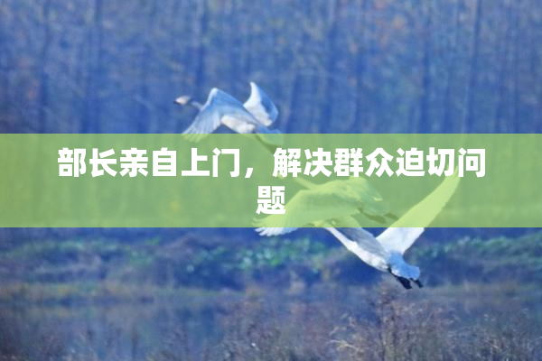 部长亲自上门，解决群众迫切问题