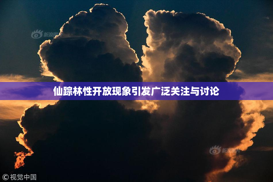 仙踪林性开放现象引发广泛关注与讨论