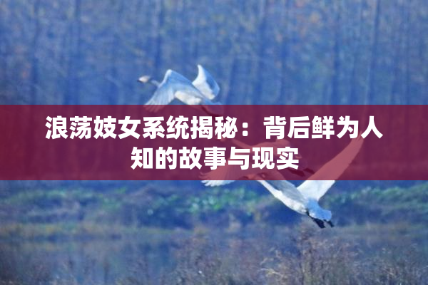 浪荡妓女系统揭秘：背后鲜为人知的故事与现实