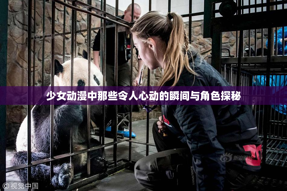 少女动漫中那些令人心动的瞬间与角色探秘