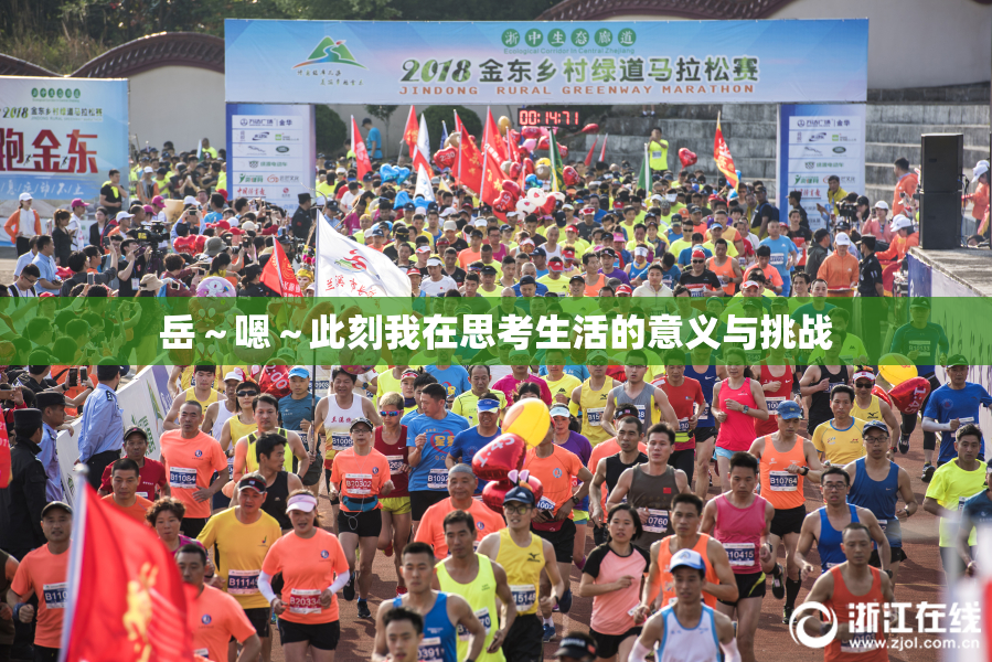 岳～嗯～此刻我在思考生活的意义与挑战