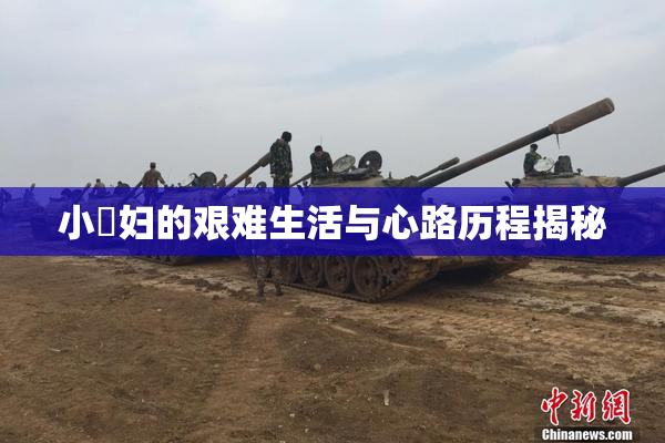 小婬妇的艰难生活与心路历程揭秘