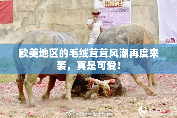 欧美地区的毛绒茸茸风潮再度来袭，真是可爱！