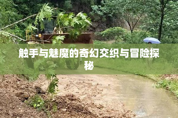 触手与魅魔的奇幻交织与冒险探秘