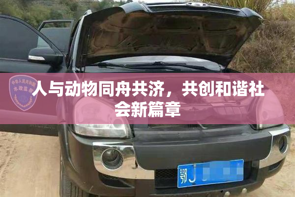 人与动物同舟共济，共创和谐社会新篇章
