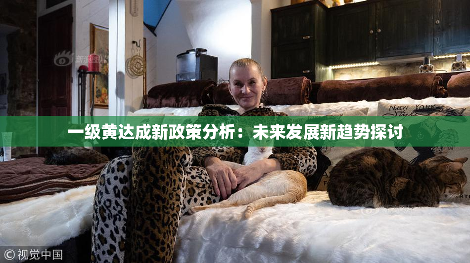 一级黄达成新政策分析：未来发展新趋势探讨